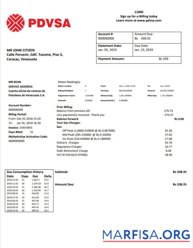 Blank Venezuela PDVSA Gas utility bill template in Word and PDF format